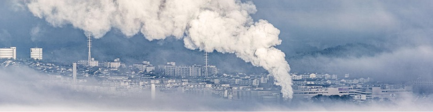 Carbon Sustainability cover