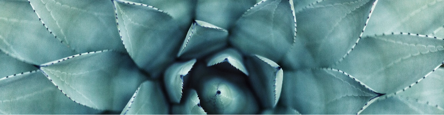 Health and Wellbeing cover