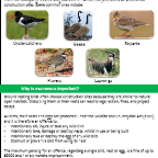 Thumbnail for EVTT01-44 Protection of Wildlife – Ground Nesting Birds.pdf